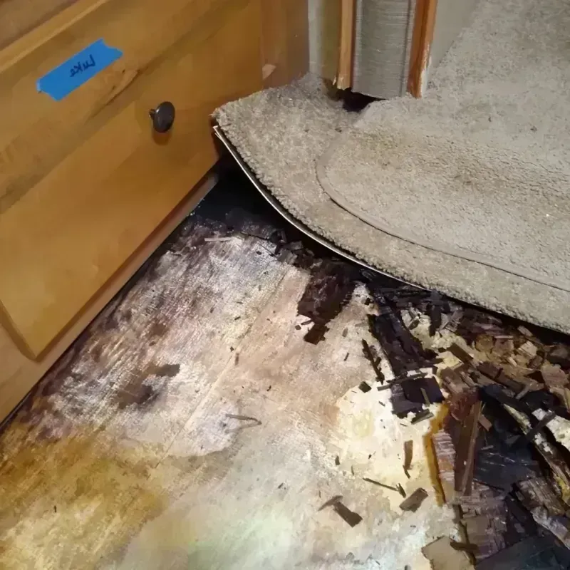 Best Wood Floor Water Damage Service in Lamar, CO